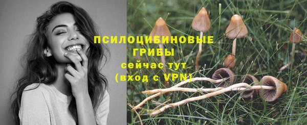 мяу мяу кристалл Ельня