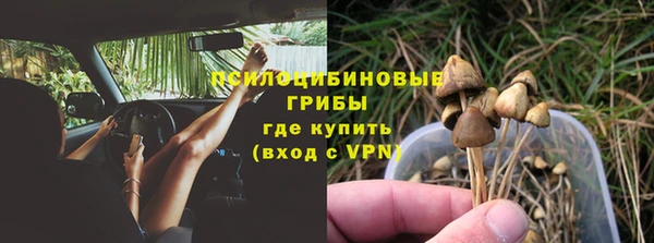 трава Елабуга