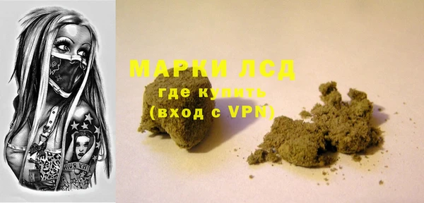 дживик Няндома
