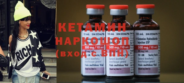 дживик Няндома