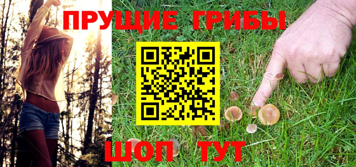 Острогожск  Псилоцибиновые грибы GOLDEN TEACHER  Псилоцибиновые грибы MAGIC MUSHROOMS  Вход с VPN 