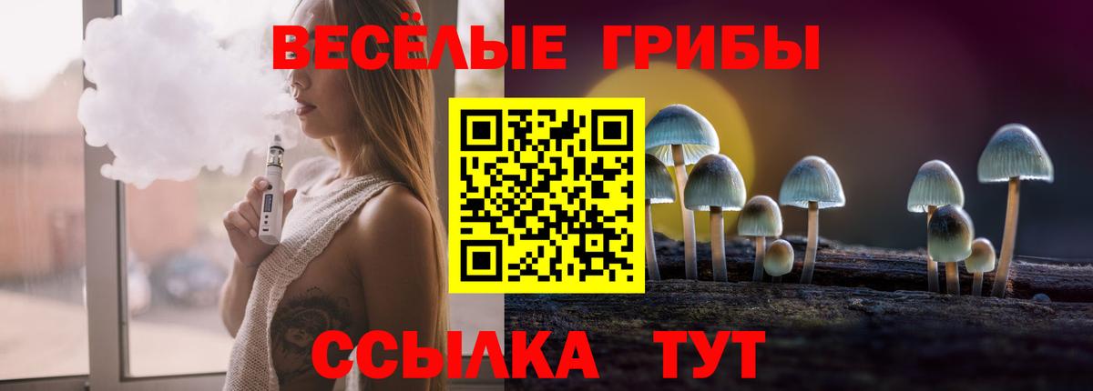 Псилоцибиновые грибы Psilocybe Острогожск