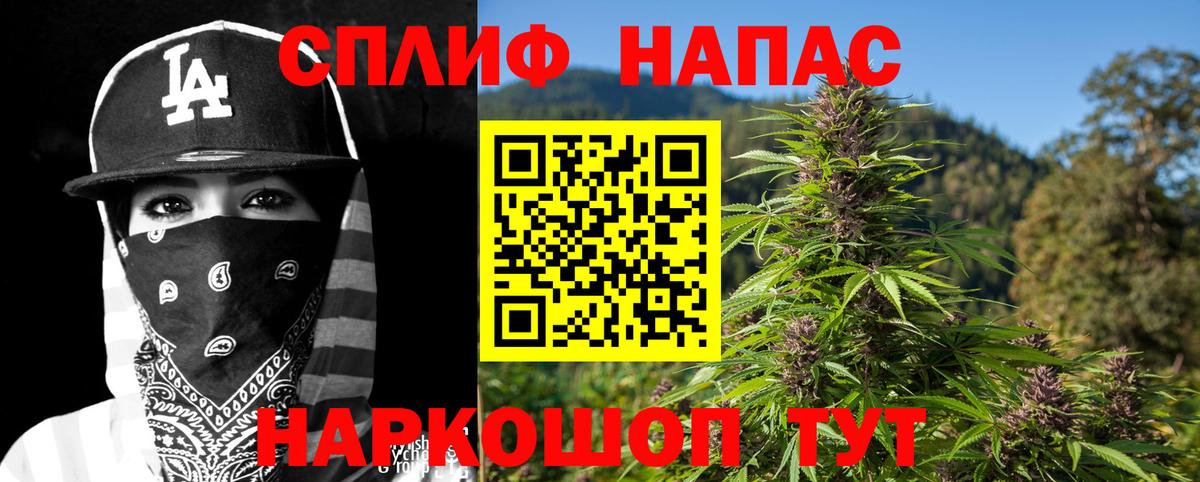  COCAIN Острогожск